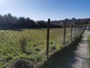 Agricolo in Via Casal di Mario