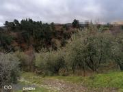 Agricolo in Via di Moncioni