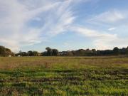 Agricolo in Via Laurentina