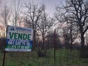 Agricolo in Via Marche