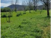 Agricolo in Via Nazario Sauro