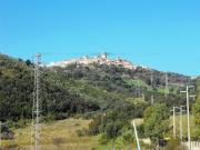 Agricolo in Via Salicuneta