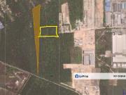 Agricultural Land at Banting for