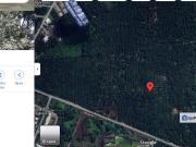 agricultural land for in Banting Selangor