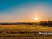 agricultural land for sal in sepang