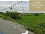 Agricultural Land for Sale – Concepcion, Tarlac