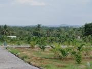 Agricultural Land in Alisab Doddi for resale Bangalore....