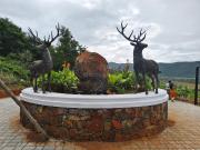 Agricultural Land in Anaikatti for resale Coimbatore....