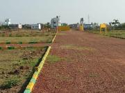 Agricultural Land in Anikode for resale Chittur. The...