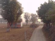 Agricultural Land in Asalpur for resale Jaipur. The...