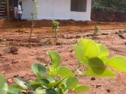 Agricultural Land in Bhogapuram for resale...
