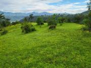 Agricultural Land in Bhor for resale Pune. The reference...