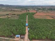 Agricultural Land in Buckinghampeta for resale...