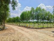 Agricultural Land in Chengalpattu for resale Chennai....