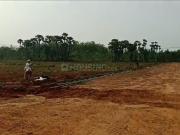 Agricultural Land in Chodavaram for resale...
