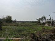 Agricultural Land in Dabhoi for resale Vadodara. The...