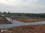 Agricultural Land in Harohalli, Kanakapura for resale...