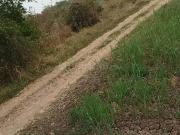 Agricultural Land in Hetampura for resale Vadodara. The...