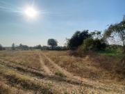 Agricultural Land in Kalameshwar for resale Nagpur. The...