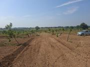 Agricultural Land in Kandukur for resale Nalgonda. The...