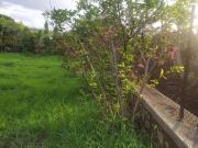 Agricultural Land in Khadakwasla for resale Pune. The...