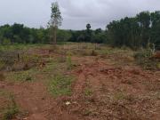 Agricultural Land in Kinnigoli for resale Mangalore. The...