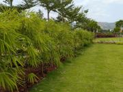 Agricultural Land in Lingarajapuram for resale...