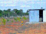 Agricultural Land in Madurai Main for resale Madurai....