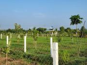 Agricultural Land in Madurantakam for resale Chennai....