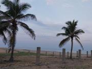 Agricultural Land in Mahabalipuram for resale Chennai....