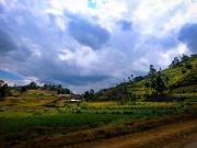 Agricultural Land in Manoharpura for resale NH 8 Jaipur....