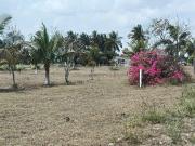 Agricultural Land in Marakkanam for resale Viluppuram....