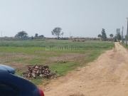 Agricultural Land in Nangloi for resale West Delhi. The...
