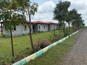 Agricultural Land in Narayankhed for resale Hyderabad....