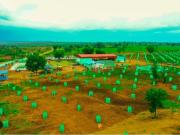 Agricultural Land in Narayankhed for resale Hyderabad....