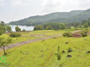 Agricultural Land in Panshet for resale Pune. The...