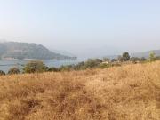 Agricultural Land in Panshet for resale Pune. The...