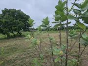 Agricultural Land in Patancheru for resale West...