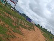 Agricultural Land in Rajanukunte for resale Bengaluru....