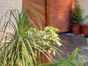 Agricultural Land in Ravikamatham for resale...