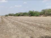 Agricultural Land in Sanand for resale Ahmedabad. The...