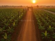 Agricultural Land in Sejbahar for resale Raipur. The...