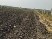 Agricultural Land in Siddipet for resale Hyderabad. The...