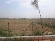 Agricultural Land in Sikanderpur for resale Greater...