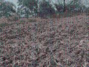 Agricultural Land in Somatane for resale Pune. The...