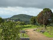 Agricultural Land in Talegaon Anjaneri for resale...