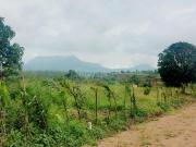 Agricultural Land in Trimbak for resale Nashik. The...