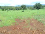 Agricultural Land in Trimbak for resale Nashik. The...