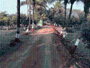 Agricultural Land in Trimbak for resale Nashik. The...