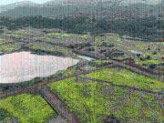 Agricultural Land in Trimbak for resale Nashik. The...